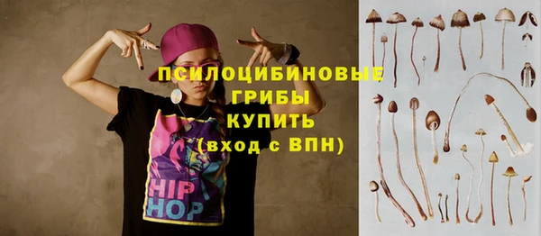дживик Каменка