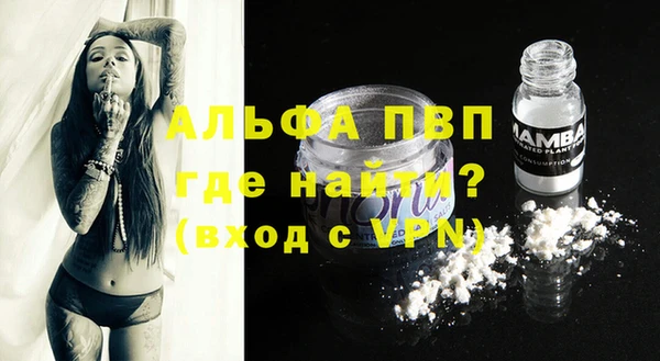 дживик Каменка